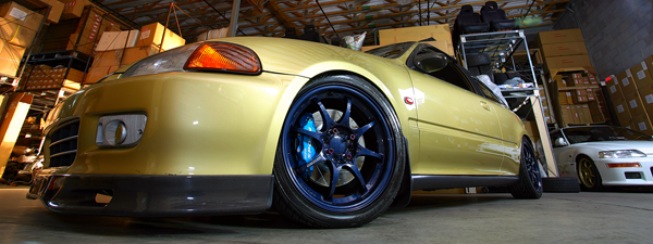 The Gold EG